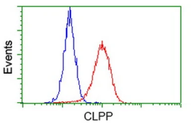 Anti-CLPP antibody [1D8] used in Flow cytometry (FCM). GTX84679