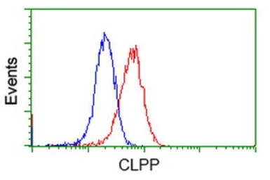 Anti-CLPP antibody [1D8] used in Flow cytometry (FCM). GTX84679