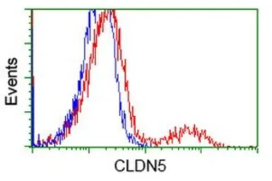 Anti-Claudin 5 antibody [1G4] used in Flow cytometry (FCM). GTX84681