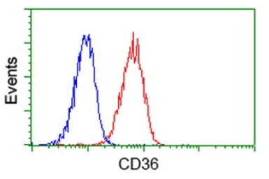 Anti-CD36 antibody [4H7] used in Flow cytometry (FCM). GTX84722