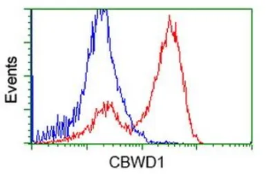 Anti-CBWD1 antibody [2D2] used in Flow cytometry (FCM). GTX84727