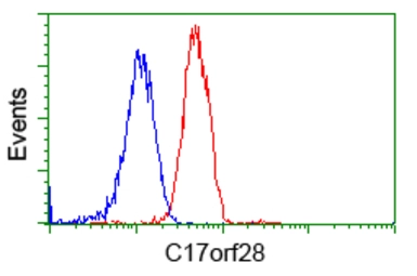 Anti-C17orf28 antibody [2F4] used in Flow cytometry (FCM). GTX84750