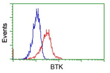 Anti-BTK antibody [12H4] used in Flow cytometry (FCM). GTX84792