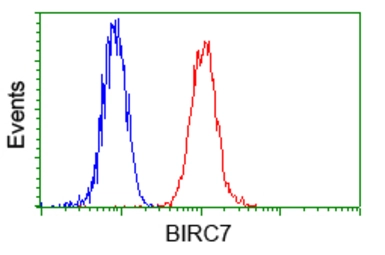 Anti-Livin antibody [1B10] used in Flow cytometry (FCM). GTX84822
