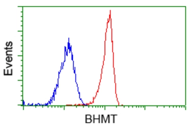 Anti-BHMT antibody [10B3] used in Flow cytometry (FCM). GTX84827