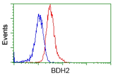 Anti-BDH2 antibody [4G4] used in Flow cytometry (FCM). GTX84833