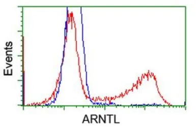 Anti-BMAL1 antibody [1D1] used in Flow cytometry (FCM). GTX84853