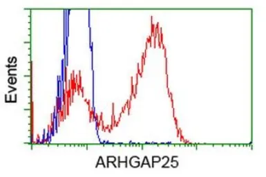 Anti-ARHGAP25 antibody [12E6] used in Flow cytometry (FCM). GTX84868