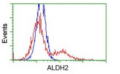 Anti-ALDH2 antibody [4H2] used in Flow cytometry (FCM). GTX84890