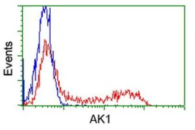 Anti-Adenylate kinase 1 antibody [18C7] used in Flow cytometry (FCM). GTX84937