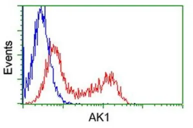 Anti-Adenylate kinase 1 antibody [8A1] used in Flow cytometry (FCM). GTX84938