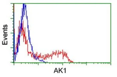 Anti-Adenylate kinase 1 antibody [19D1] used in Flow cytometry (FCM). GTX84939