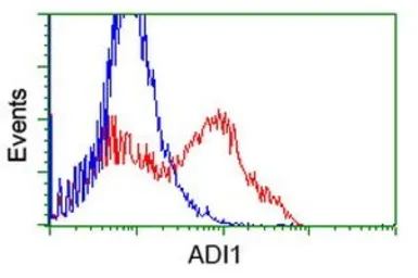 Anti-ADI1 antibody [3H6] used in Flow cytometry (FCM). GTX84958