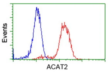 Anti-ACAT2 antibody [1B7] used in Flow cytometry (FCM). GTX84968
