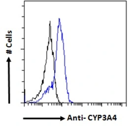Anti-CYP3A4 antibody, Internal used in Flow cytometry (FCM). GTX89375
