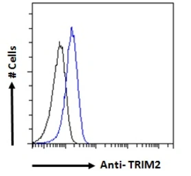 Anti-TRIM2 antibody, C-term used in Flow cytometry (FCM). GTX89871