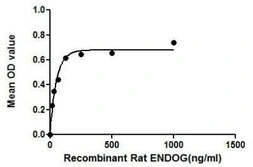 Rat EndoG protein, His and GST tag. GTX00057-pro