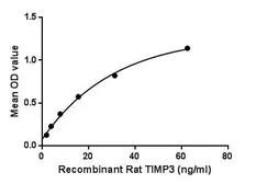 Rat TIMP3 protein, His tag. GTX00064-pro