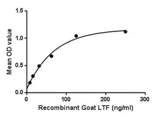 Goat Lactoferrin protein, His tag. GTX00078-pro
