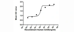 Human GAS6 protein, His tag (active). GTX00106-pro