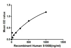 Human S100 beta protein, His tag. GTX00117-pro