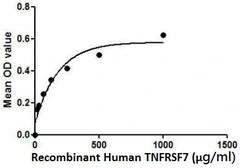 Human CD27 protein, His tag. GTX00124-pro