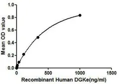 Human DGKE protein, His tag. GTX00146-pro