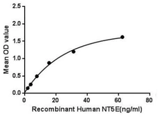 Human CD73 protein, His tag. GTX00159-pro