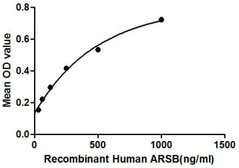 Human ARSB protein, His tag. GTX00161-pro