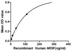 Human Arylsulfatase F protein, His tag. GTX00162-pro