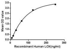 Human LOX protein, His and GST tag. GTX00167-pro