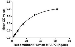 Human MAGP1 protein, His tag. GTX00174-pro