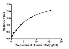 Human PAM protein, His tag. GTX00180-pro