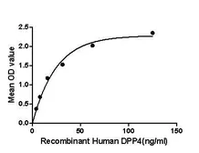 Human CD26 protein, His tag. GTX00187-pro