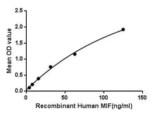 Human MIF protein, His and GST tag. GTX00197-pro