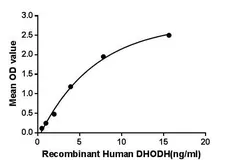 Human DHODH protein, His tag. GTX00200-pro