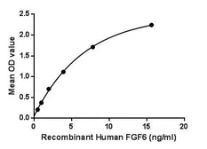 Human FGF6 protein, His and GST tag. GTX00224-pro