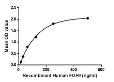 Human FGF9 protein, His tag. GTX00225-pro