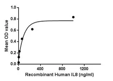 Human CXCL8 / IL8 protein, His tag (active). GTX00228-pro