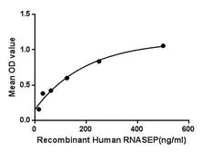 Human RPP40 protein, His tag. GTX00241-pro