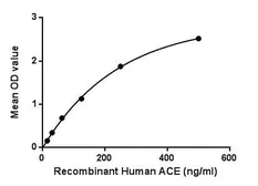Human ACE protein, His tag. GTX00247-pro