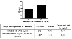 Human CD14 protein, His tag (active). GTX00249-pro