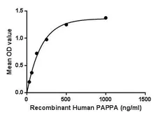 Human PAPP A protein, His tag. GTX00254-pro