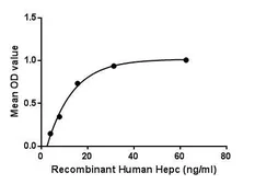 Human Hepcidin protein, His and Human IgG1 Fc tag. GTX00261-pro