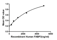 Human FABP3 protein, His tag. GTX00275-pro