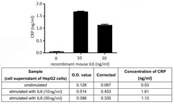 Mouse IL6 protein, His tag (active). GTX00286-pro