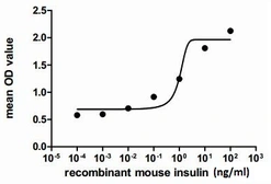 Mouse Insulin protein, His tag (active). GTX00291-pro
