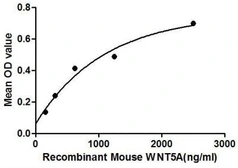 Mouse Wnt5a protein, His tag. GTX00301-pro