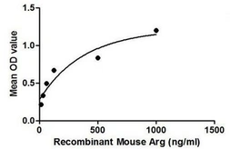 Mouse Arginase 1 protein, His tag. GTX00303-pro