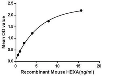 Mouse HEXA protein, His tag. GTX00306-pro
